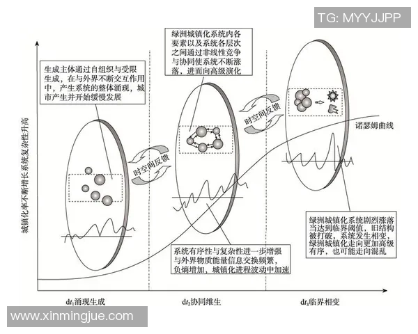 奥运篮球与NBA的异同探讨及其对全球篮球发展的影响分析